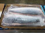 100% High Quality Salmon Fresh / Frozen Atlantic Salmon Fish, Norwegian Salmon Fillets