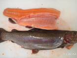 ASC, MSC frozen fish products from the cold store in Lithuania. - фото 13
