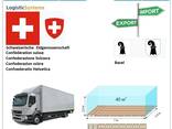 Автотранспортні вантажні перевезення з Базеля в Базель разом з Logistic Systems - фото 6