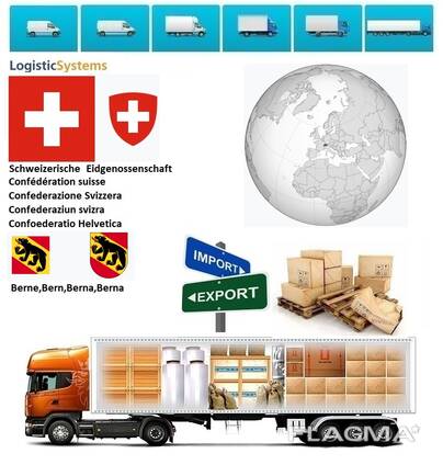 Автотранспортные грузоперевозки из Берна в Берн с Logistic Systems