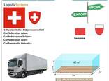 Автотранспортні вантажні перевезення з Лозанни в Лозанну разом з Logistic Systems - фото 7