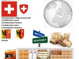 Автотранспортные грузоперевозки из Женевы в Женеву с Logistic Systems - фото 1