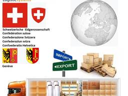 Автотранспортні вантажні перевезення з Женеви в Женеву разом з Logistic Systems