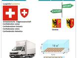 Автотранспортные грузоперевозки из Женевы в Женеву с Logistic Systems - фото 5
