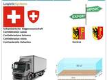 Автотранспортные грузоперевозки из Женевы в Женеву с Logistic Systems - фото 6