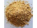 Best Quality Animal feed 48% protein Soybean Meal/ Yellow corn for animal feed for sale - фото 1