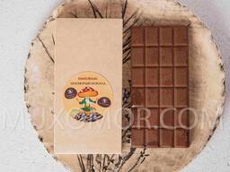 Chocolat végétalien Amanita 100 g - 24 barres de 0,4 g d'amanite /Мухоморний веган шоколад
