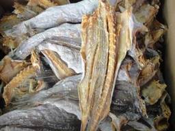 Dried stockfish