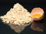 Egg Powder - фото 1