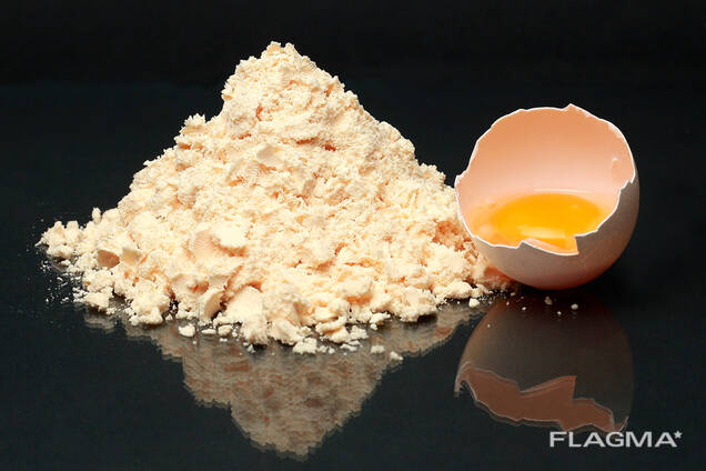 Egg Powder