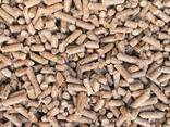 EN plus Wood Pellets A1 - фото 2