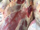 Frozen meat mutton, lamb, beef - photo 2