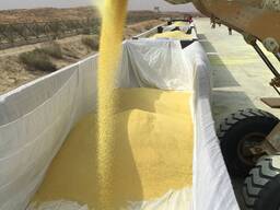 Granulated sulfur, lump sulfur