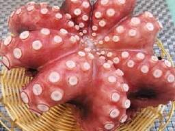 Мороженная рыба и морепродукты от завода из КНР в Швейцарию