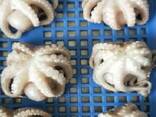 Мороженная рыба и морепродукты от завода из КНР в Швейцарию - фото 7