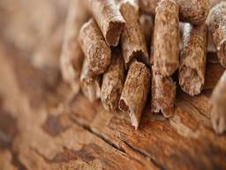 Oak pellet 6mm