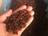 Raisins Sultana Abdjush (brown, confectionery) - photo 1