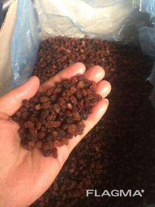 Raisins Sultana Abdjush (brown, confectionery)