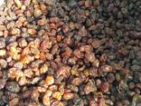 Raisins Sultana Abdjush (brown, confectionery) - photo 3