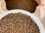 Солод ржаной сухой ферментированный Беларусь - фото 1