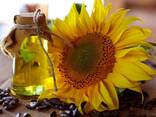 Sunflower oil - фото 1
