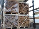 We produce Firewood - photo 2